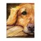 Stupell Industries Sight of Golden Retriever Canvas, design by George Dyachenko